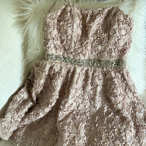 As U Wish Dresses & Skirts - As U Wish Blush Pink Dress